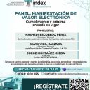 Panel: Manifestación de Valor Electrónica. Cumplimiento y próxima entrada en vigor. 23 de julio de 2026. 16:00 hrs.